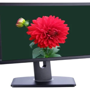 مانیتور 19 اینچ DELL مدل P1913T